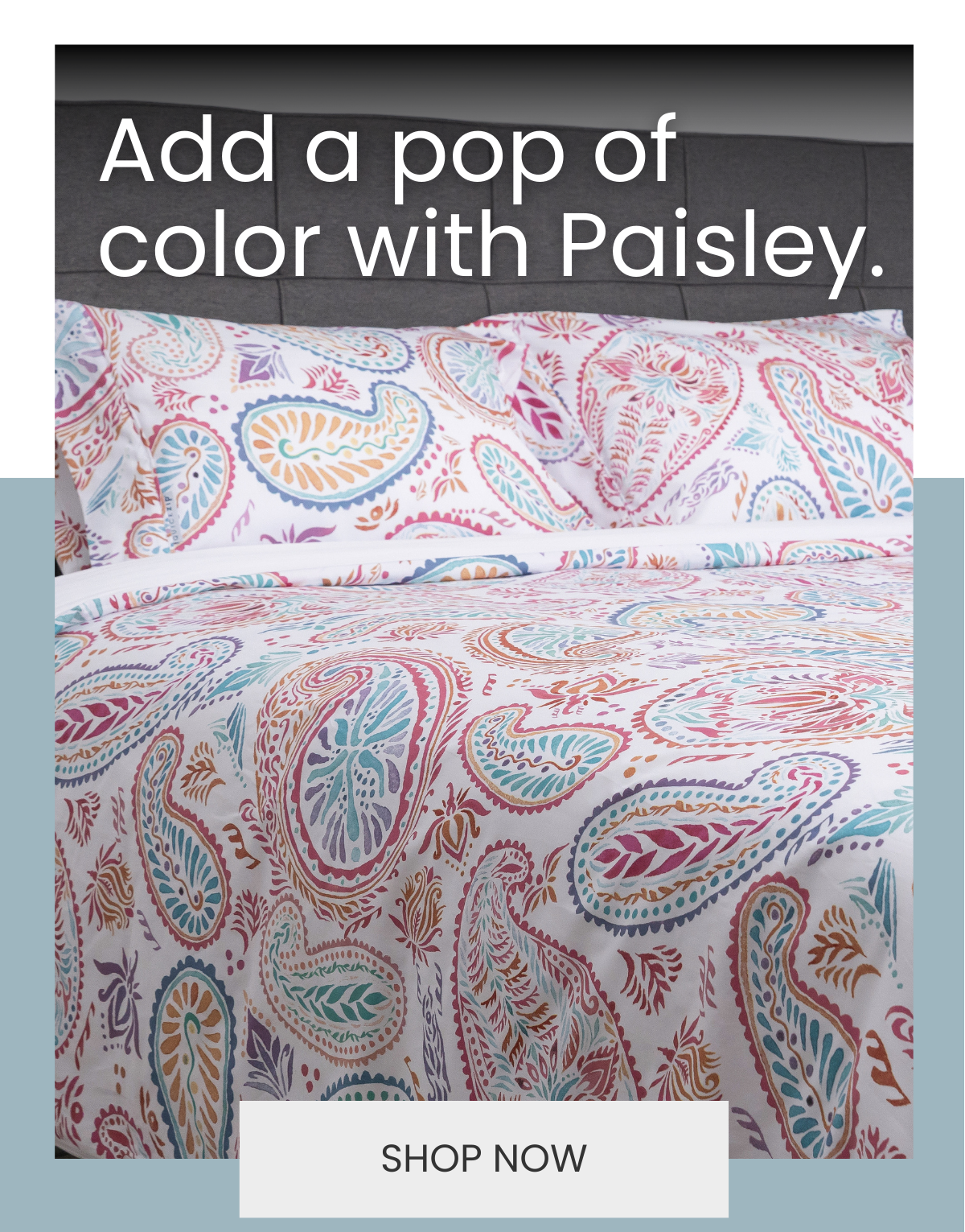 Add a pop of color with Paisley!