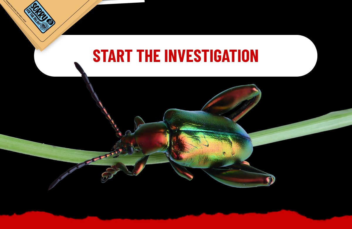 START THE INVESTIGATION