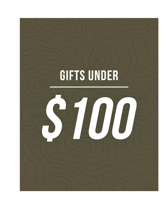 SHOP GIFTS UNDER $100