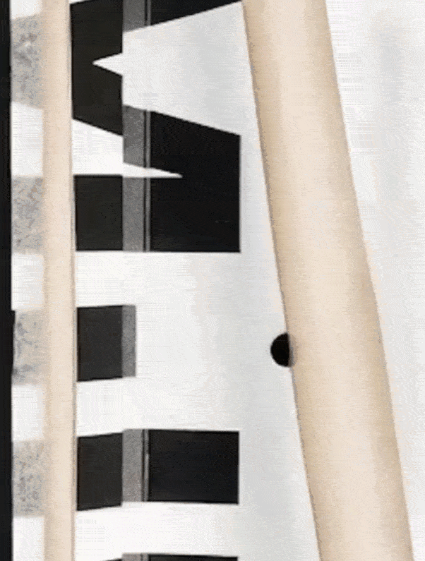 Roll + Blot