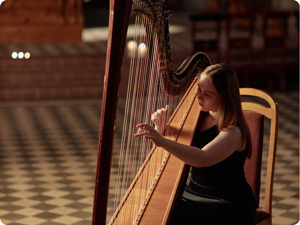 The Harp, Not the Shamrock