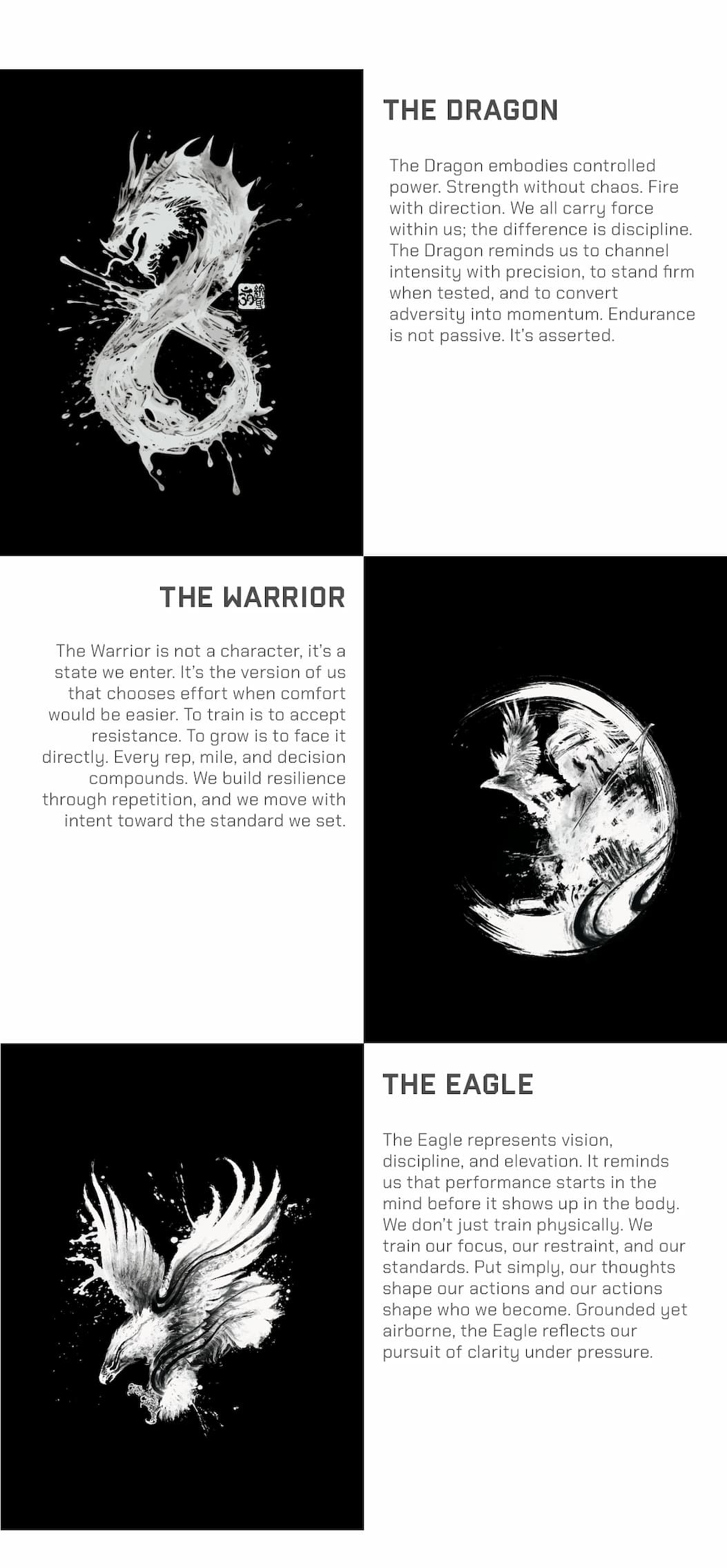 The Dragon The Eagle The Warrior 