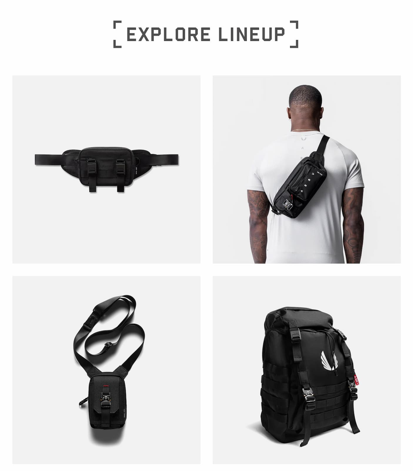 Explore the Lineup