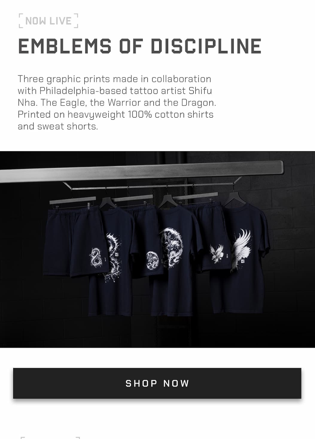 Three graphic prints made in collaboration with Philadelphia-based tattoo artist Shifu Nha. The Eagle, the Warrior and the Dragon. Printed on heavyweight 100% cotton shirts and sweat shorts.