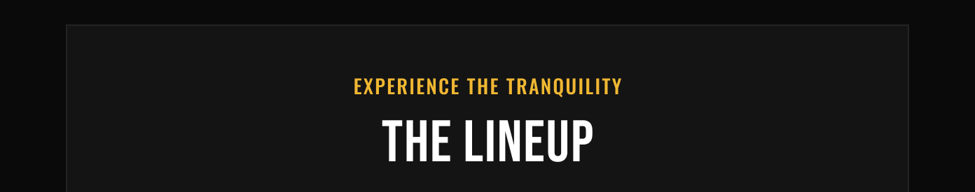 Experience the tranquility - The Lineup product section.