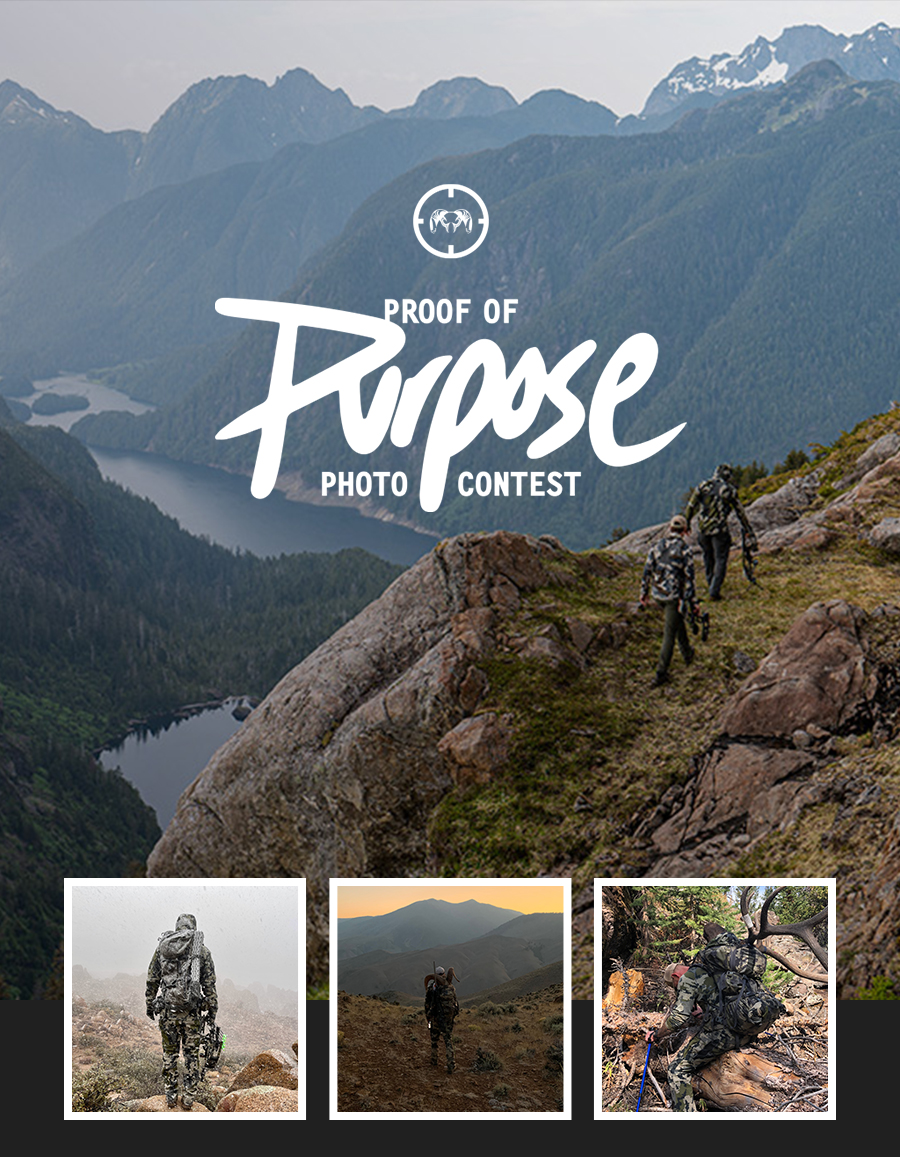 Proof of Purpose