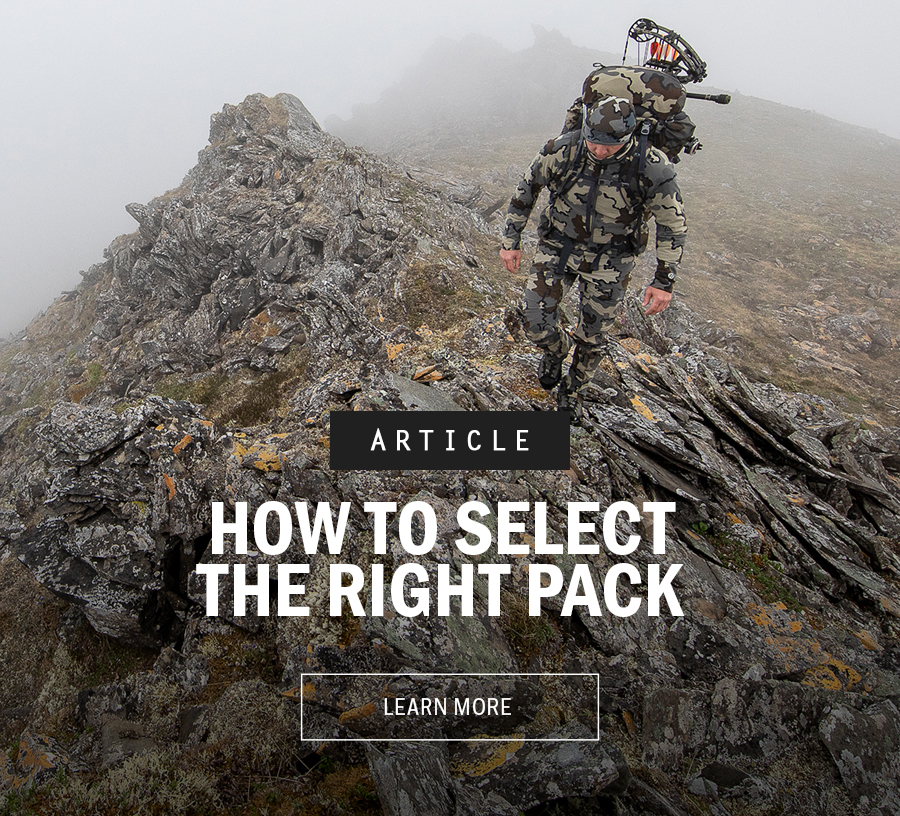 Pack Sale Save Up To 25% 
