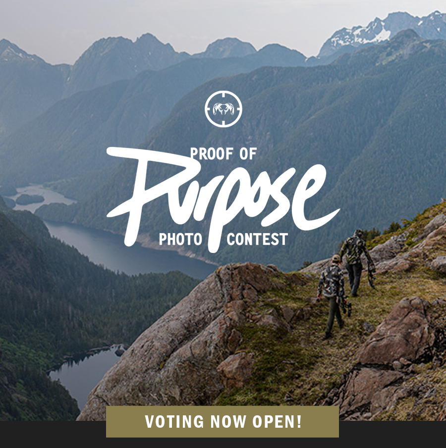 Proof of Purpose