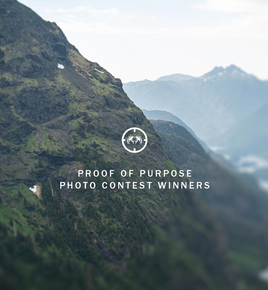 Proof of Purpose