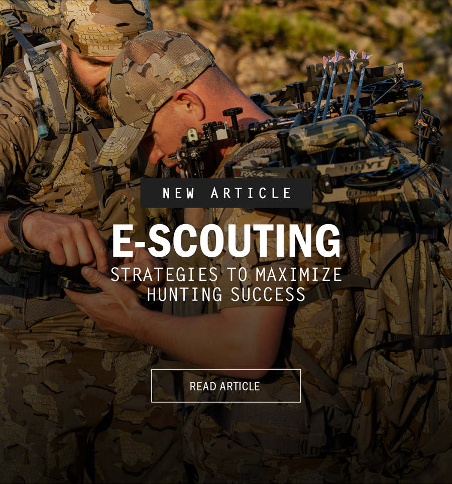 E-Scouting