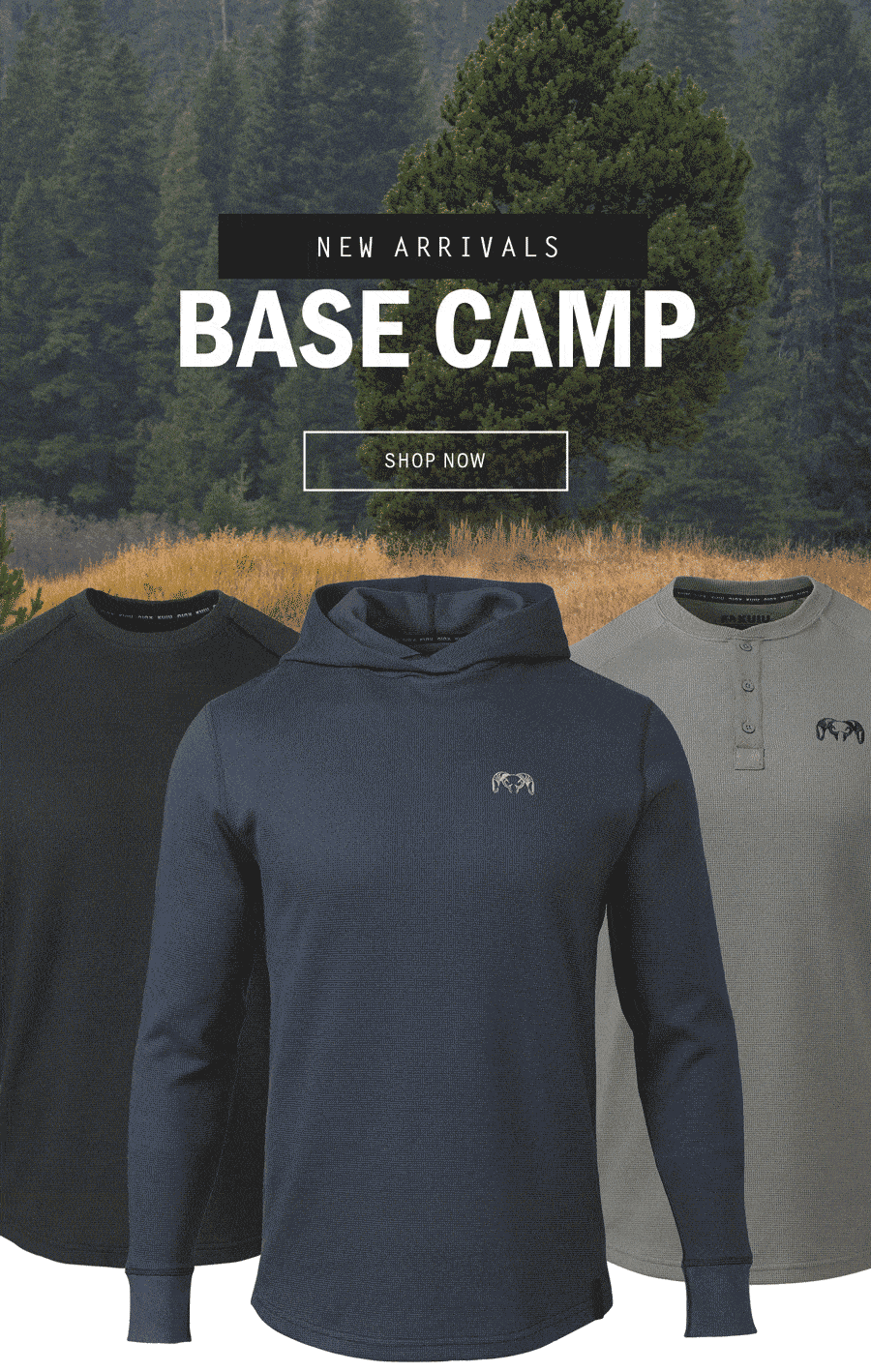 Base Camp New Arrivals