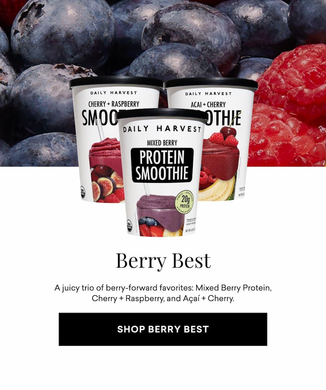 Berry Best: A juicy trio of berry-forward favorites: Mixed Berry Protein, Cherry + Raspberry, and Açaí + Cherry.