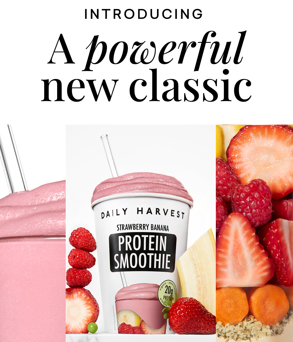 Introducing A Powerful New Classic Introducing A Powerful New Classic