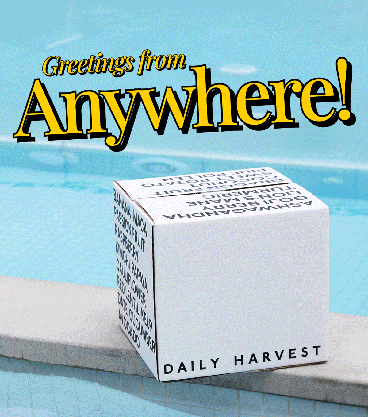 greetings from anywhere greetings from anywhere