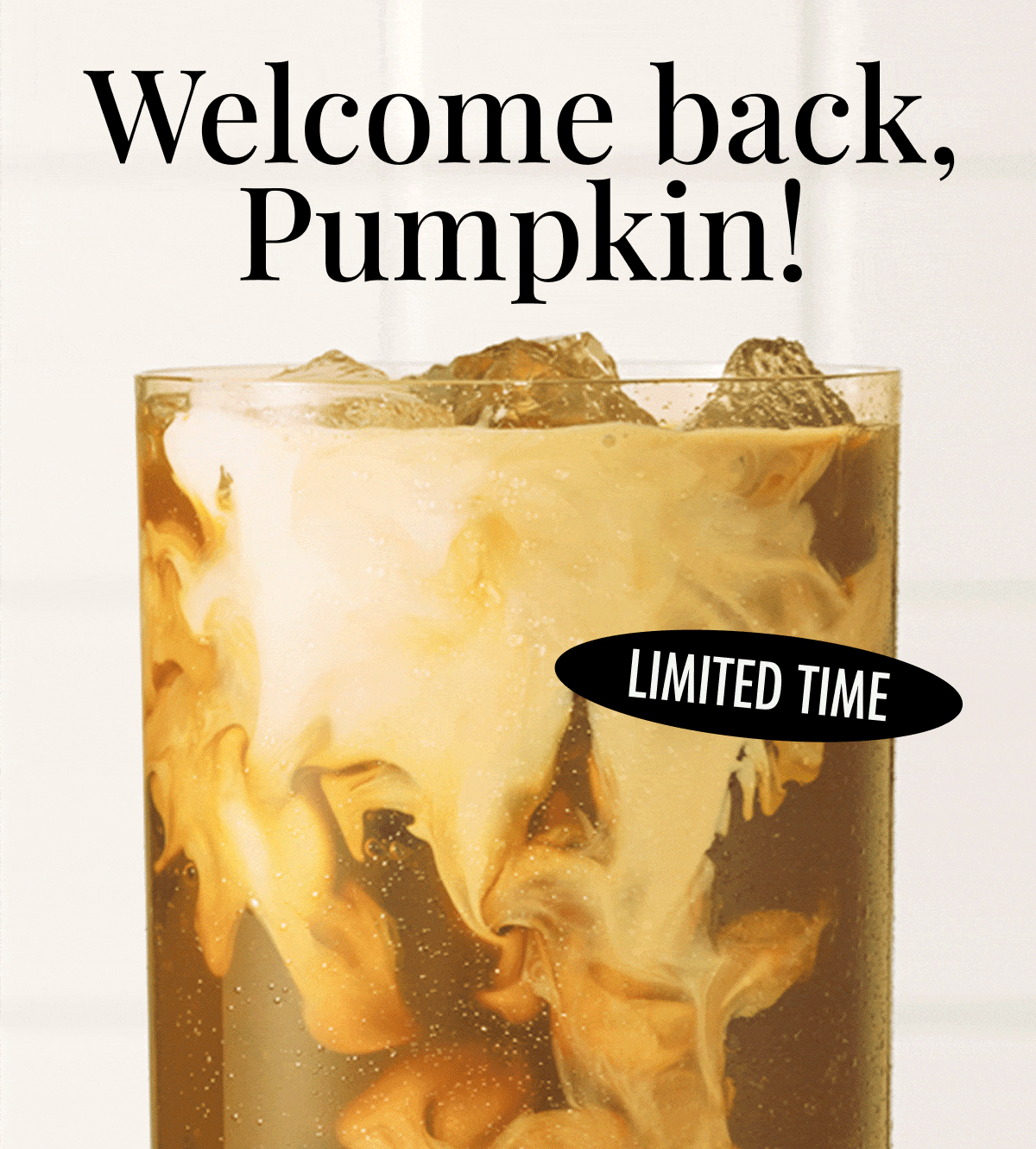 Welcome back Pumpkin! Welcome back Pumpkin!