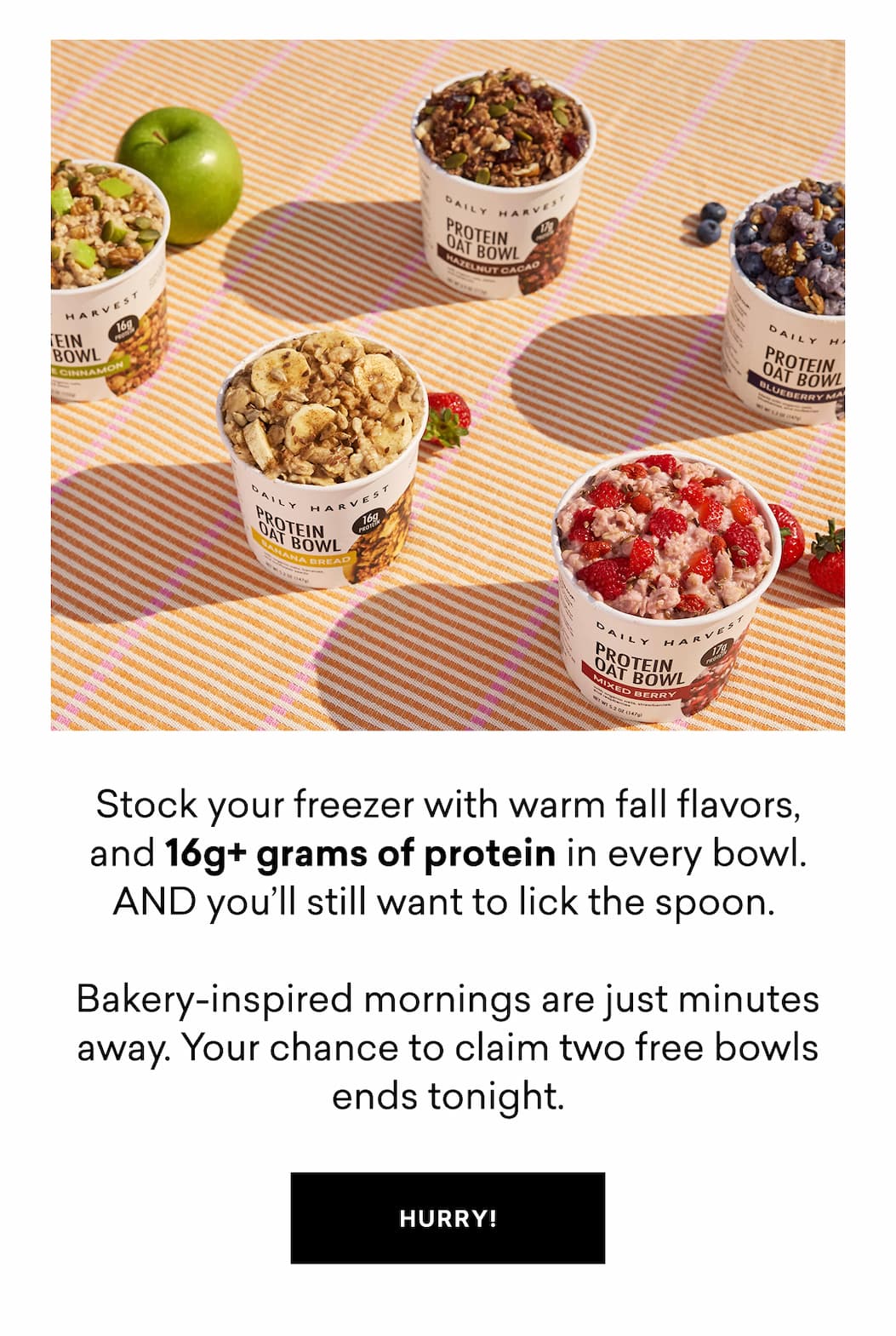Stock your freezer with warm fall flavors, and 16g+ grams of protein in every bowl. AND&nbsp;you’ll still want to lick the spoon.   Bakery-inspired mornings are just minutes away. Your chance to claim two free bowls ends tonight. No code needed.