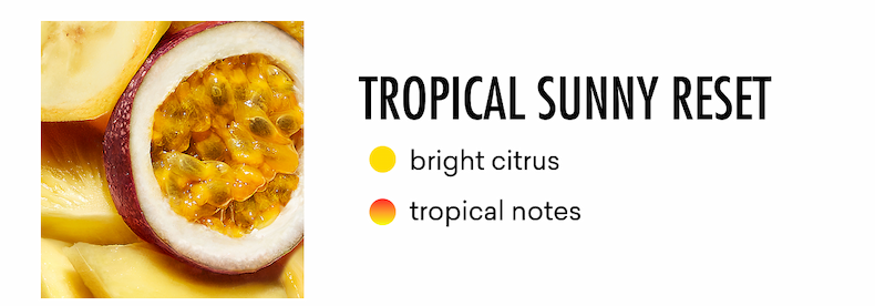TROPICAL SUNNY RESET