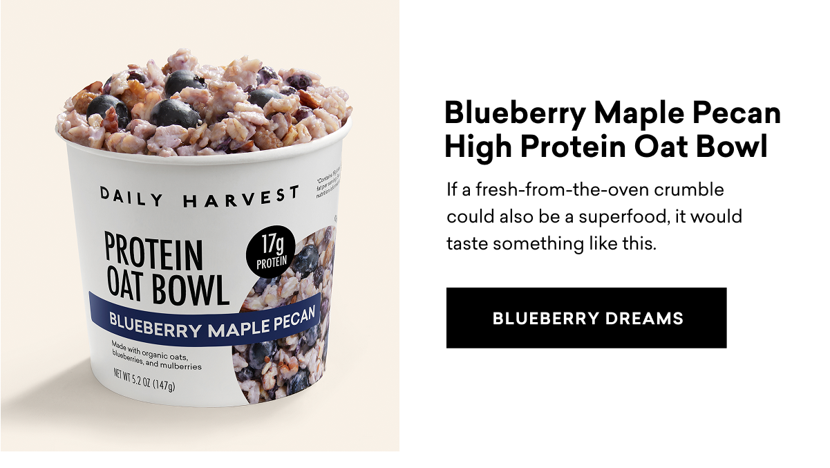 Blueberry Maple Pecan High Protein Oat Bowl
