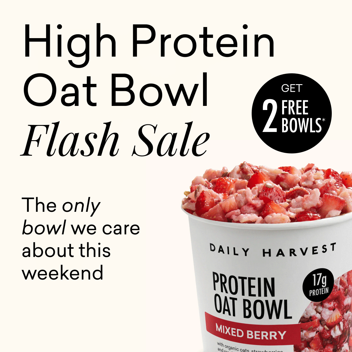 High Protein Oat Bowl Flash Sale