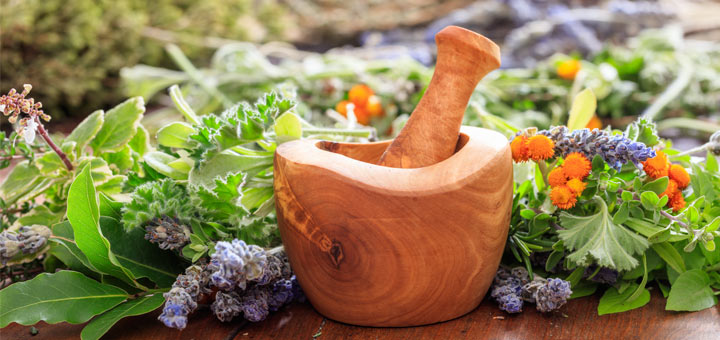 Herbs That Lower Blood Pressure
