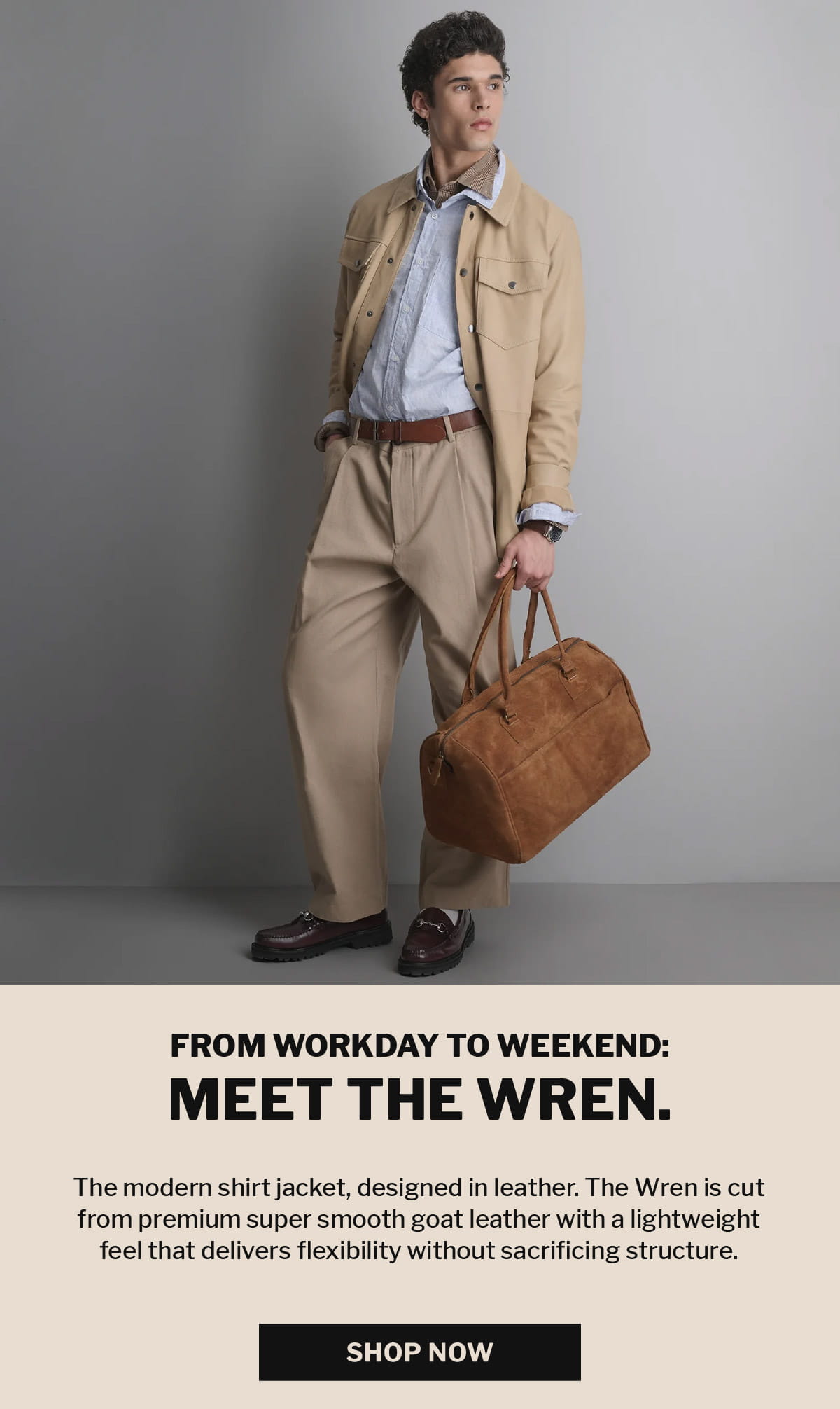 Meet The Wren