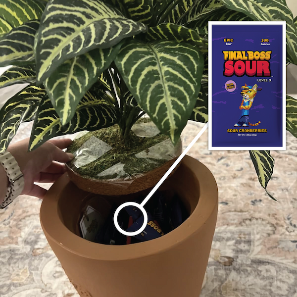 Fake plant being lifted to show Final Boss Sour pouches hiding inside planter.