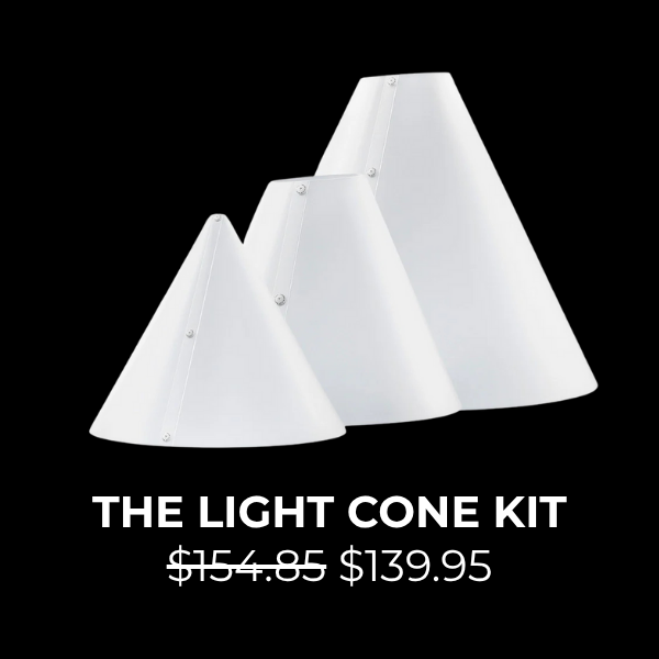 Light Cone