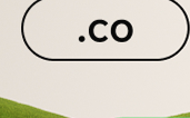 .co