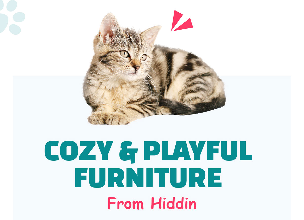 Cozy & Playful Furniture