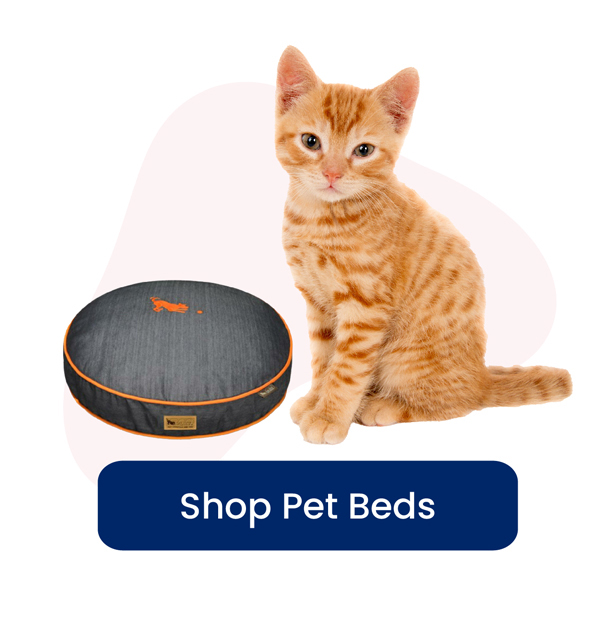 dog-beds