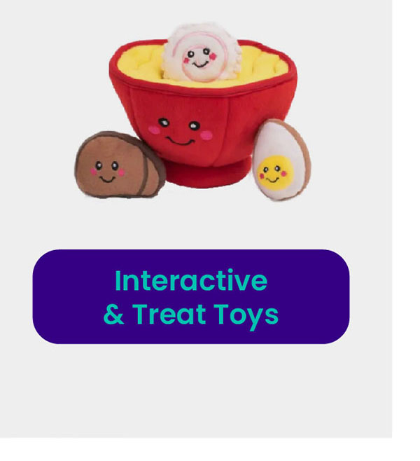 Interactive & Treat Toys