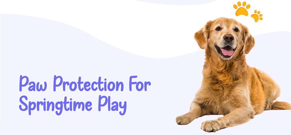 Paw protection for springtime play