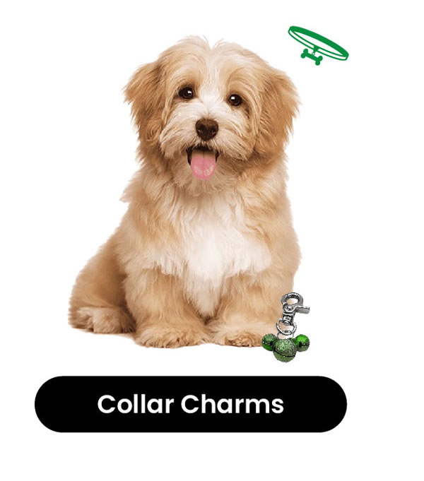 Collar Charms