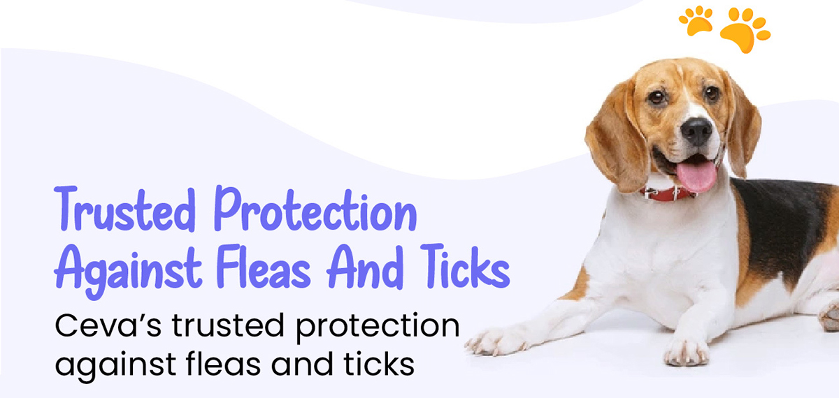Trusted protection against fleas and ticks