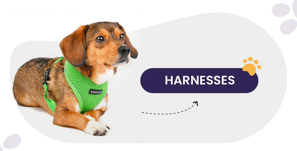 Harnesses