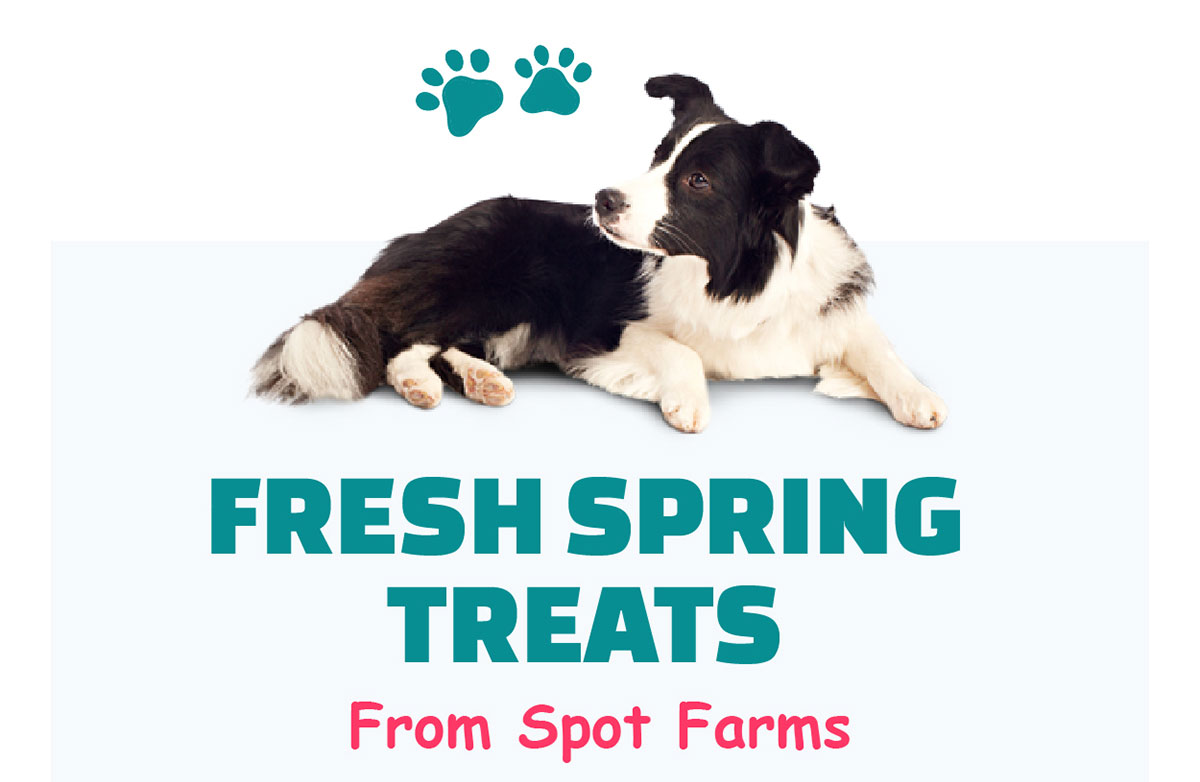 Fresh Spring Treats