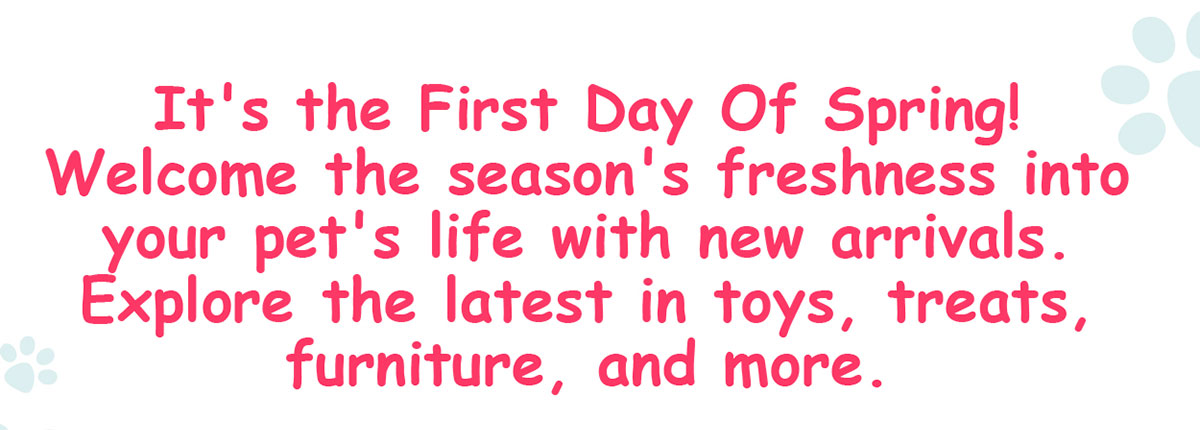 Grab 17% Off All Pet Needs