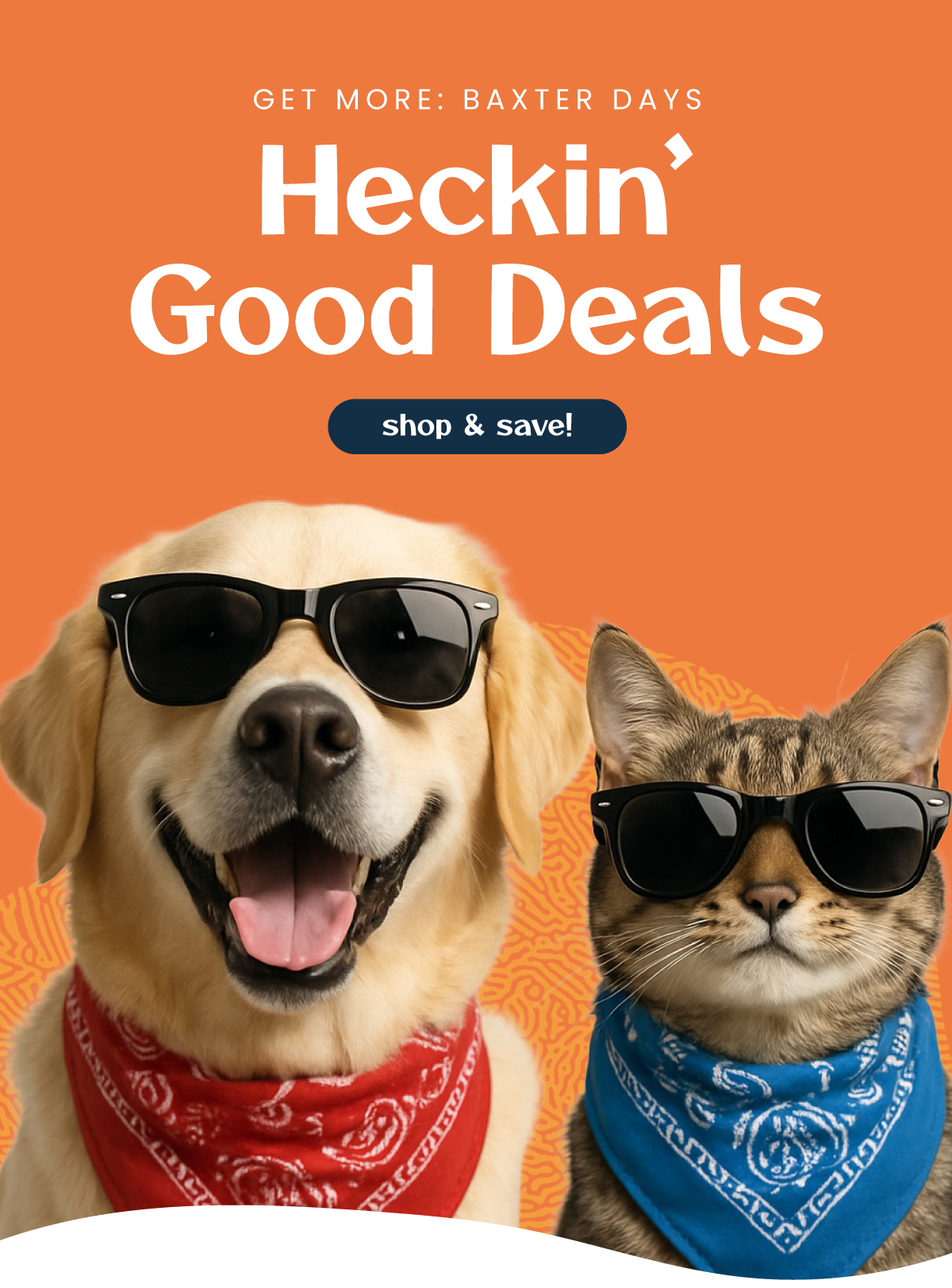 shop today & save!