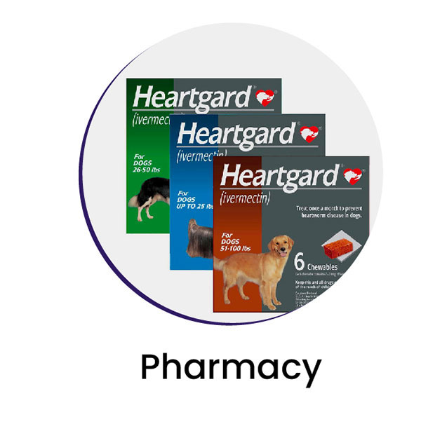 pharmacy