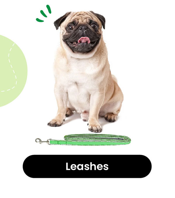 Leashes