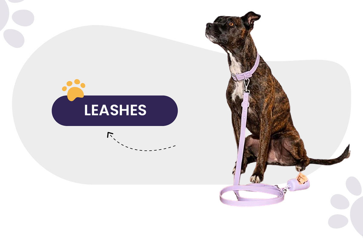 Leashes