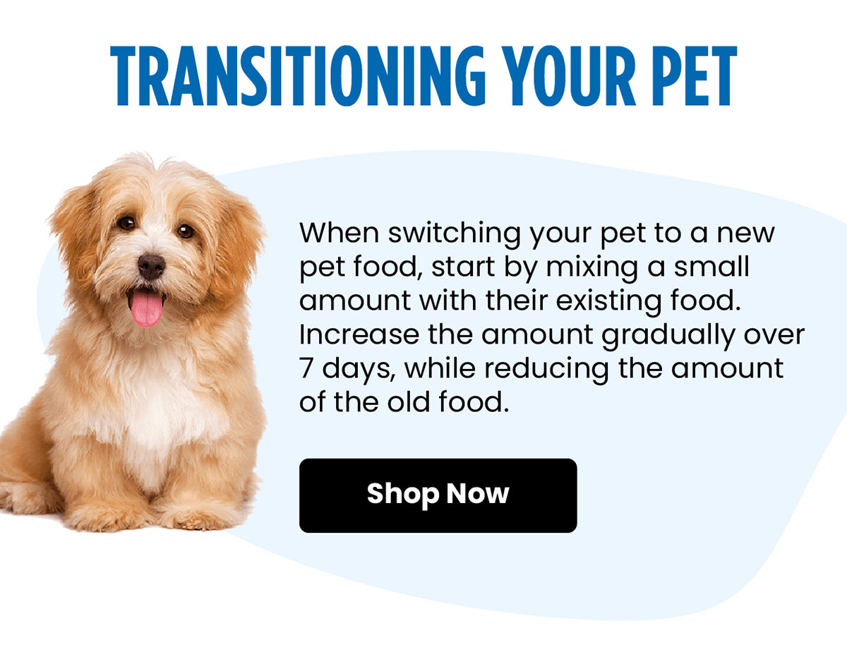 Transitioning Your Pet