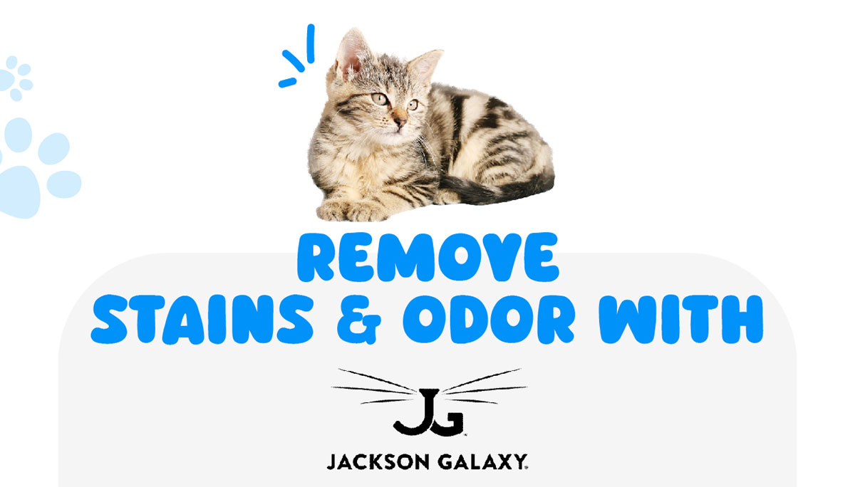 Remove Stains & Odor