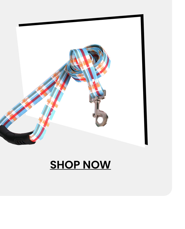 dog-leashyellow-dog-blue