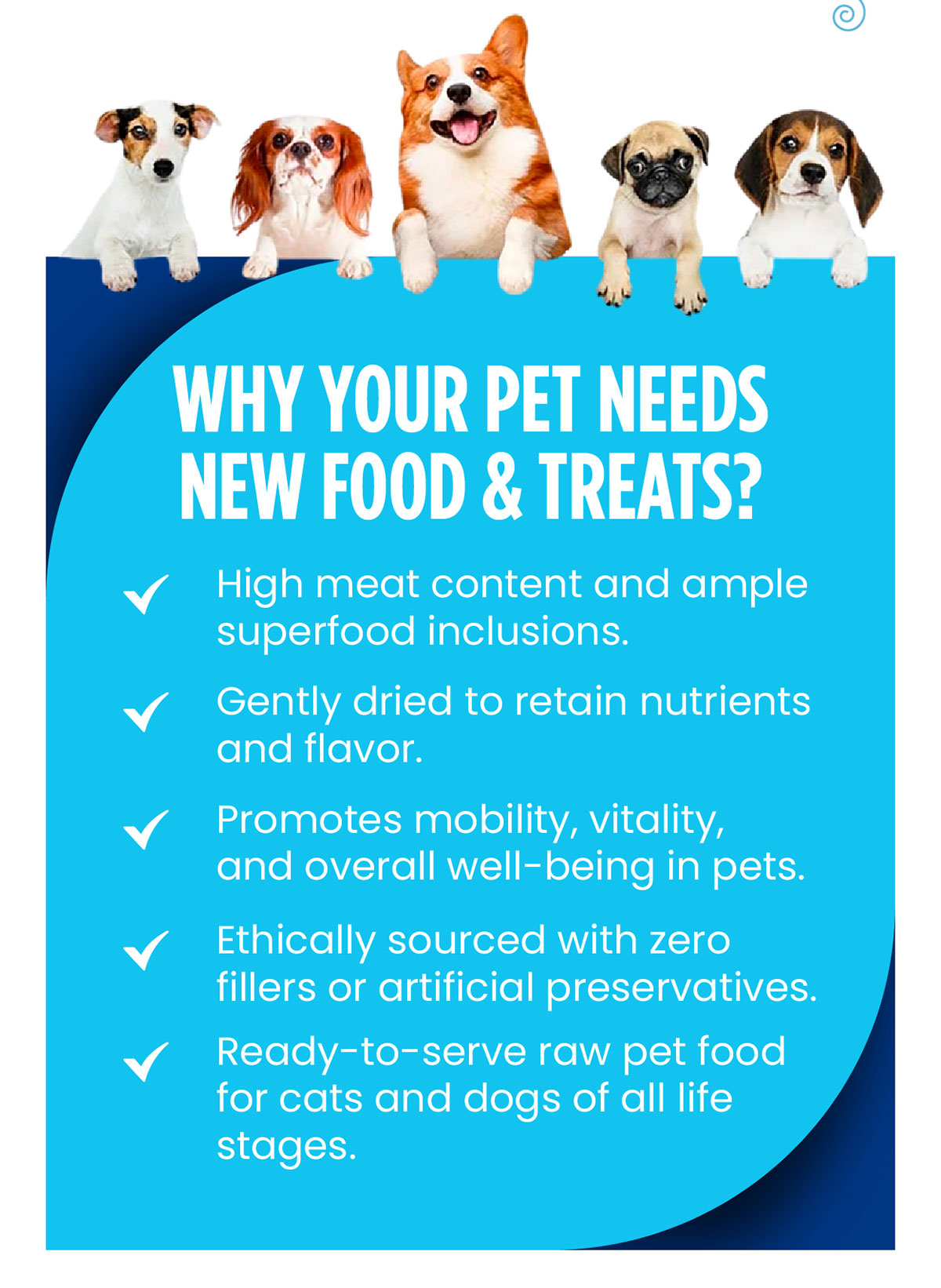 Why Your Pet Needs New Food & Treats?