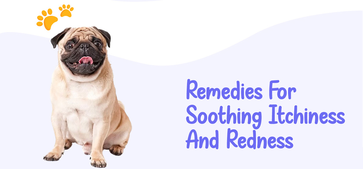 Remedies for soothing itchiness and redness
