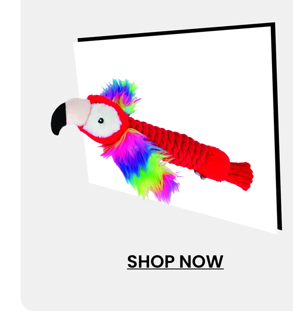 rubies-paco-parrot-dog-toy