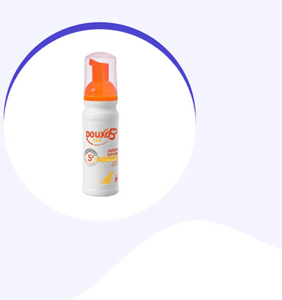 foam-for-dogs-cats