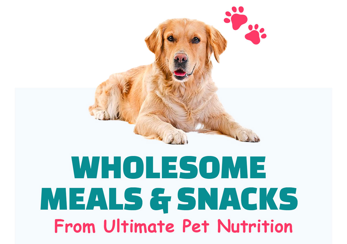 Wholesome Meals & Snacks