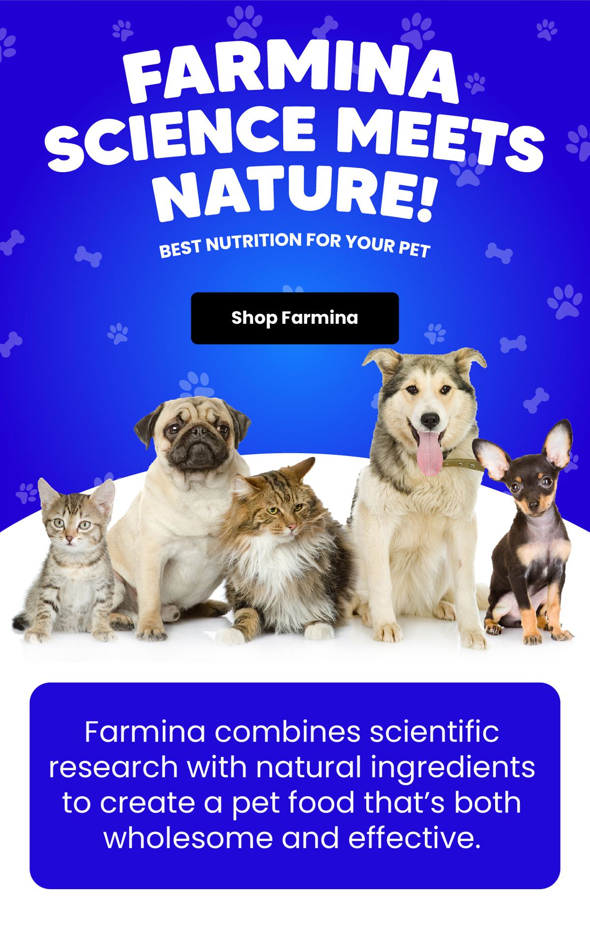 Farmina: Nutritional Brilliance